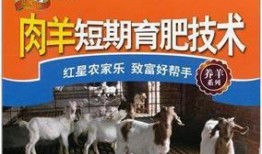 育肥羊爆料视频大全最新,最新爆料视频大全深度解析